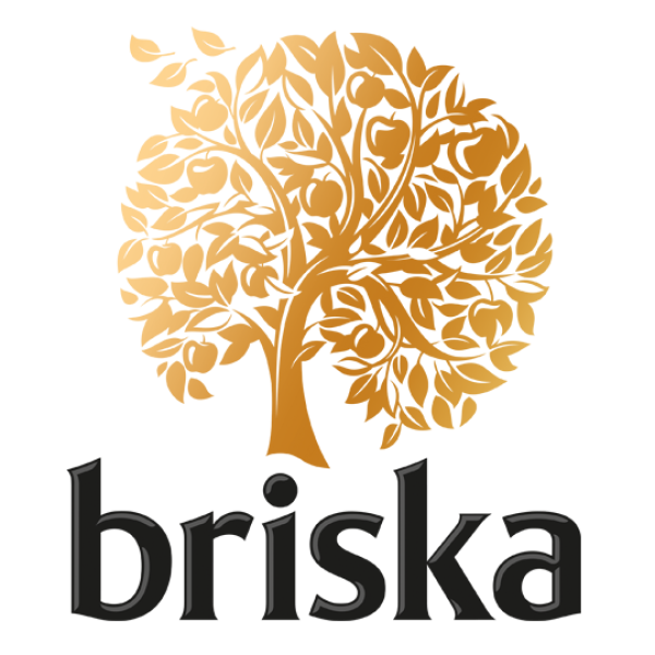 briska logo 540